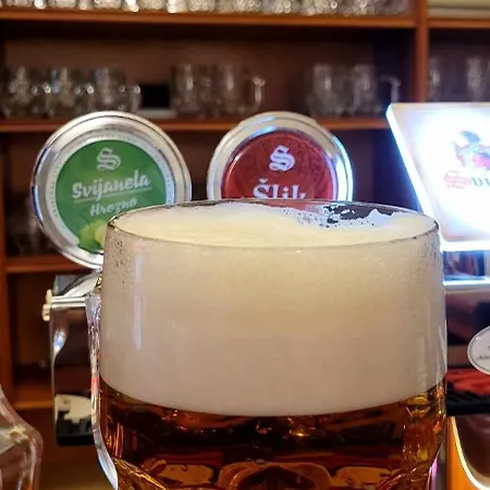 Pensjonat Patanka